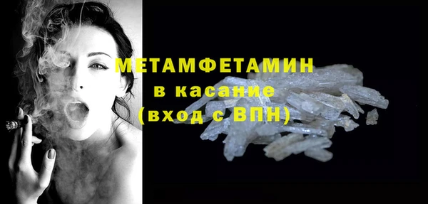прущие грибы Осташков