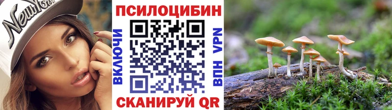 Галлюциногенные грибы Magic Shrooms купить наркотик ссылка на мегу маркетплейс Барабинск