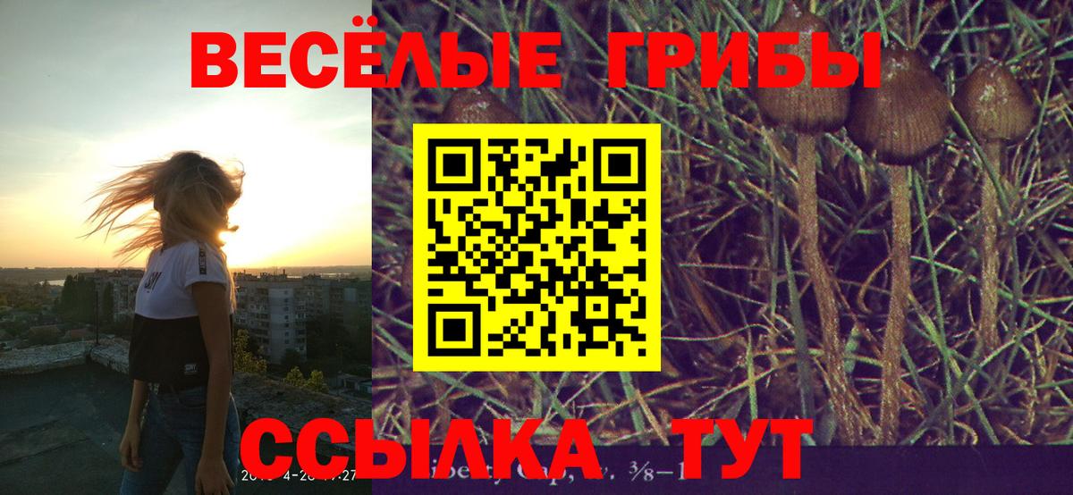 Псилоцибиновые грибы MAGIC MUSHROOMS Барабинск