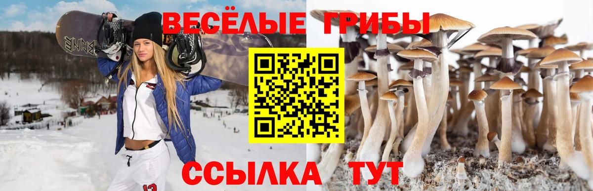 Псилоцибиновые грибы мухоморы Барабинск