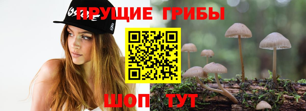 Псилоцибиновые грибы прущие грибы  Вход с VPN  наркота  Барабинск  Галлюциногенные грибы прущие грибы 